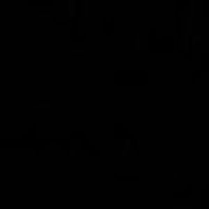 Meet your Posher, Shaelee